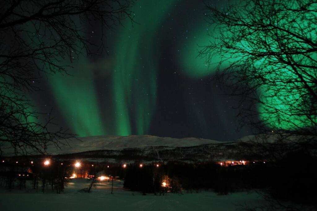 100 Years Old Norwegian Log House In Tromso Villa Buitenkant foto