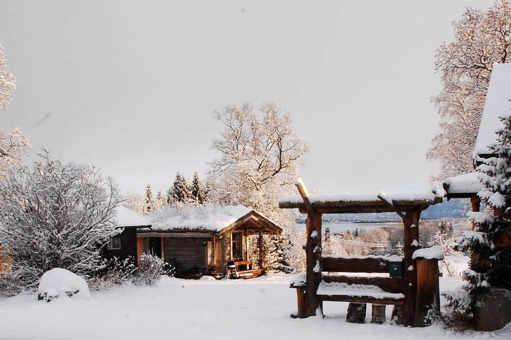 100 Years Old Norwegian Log House In Tromso Villa Buitenkant foto