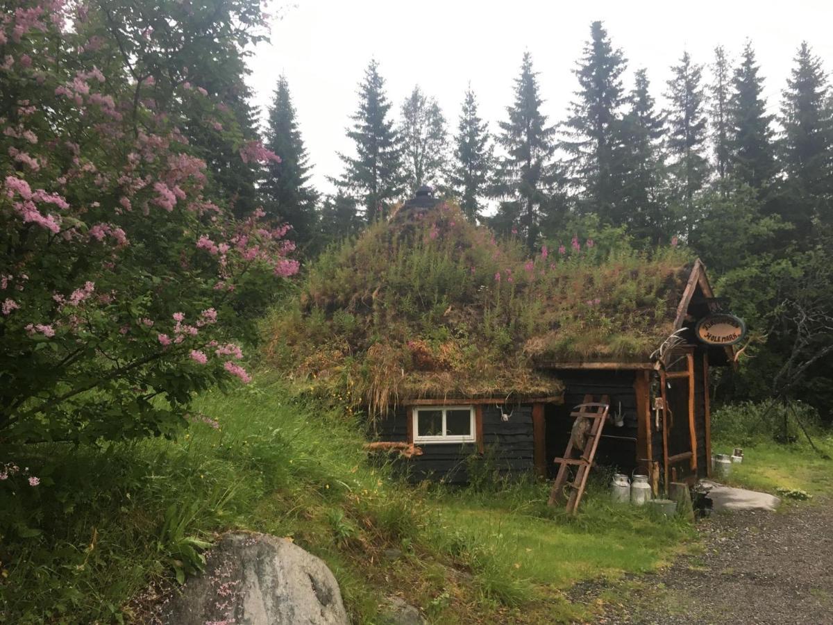 100 Years Old Norwegian Log House In Tromso Villa Buitenkant foto