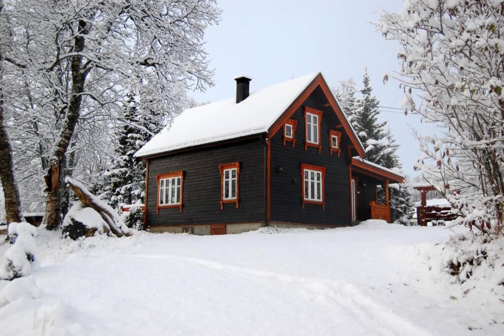 100 Years Old Norwegian Log House In Tromso Villa Buitenkant foto