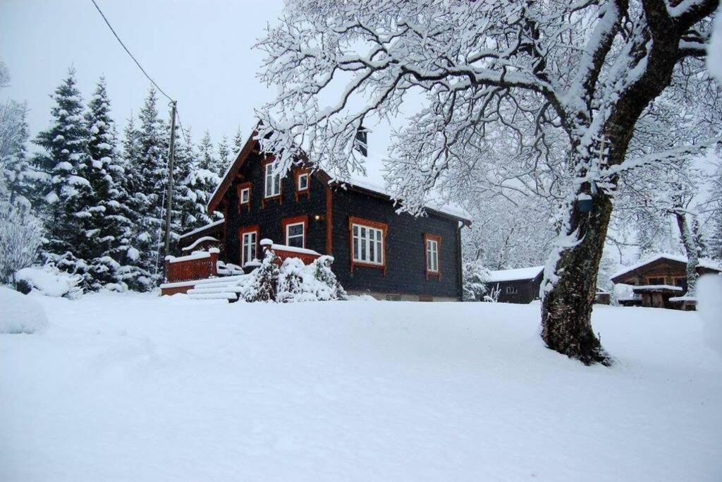 100 Years Old Norwegian Log House In Tromso Villa Buitenkant foto