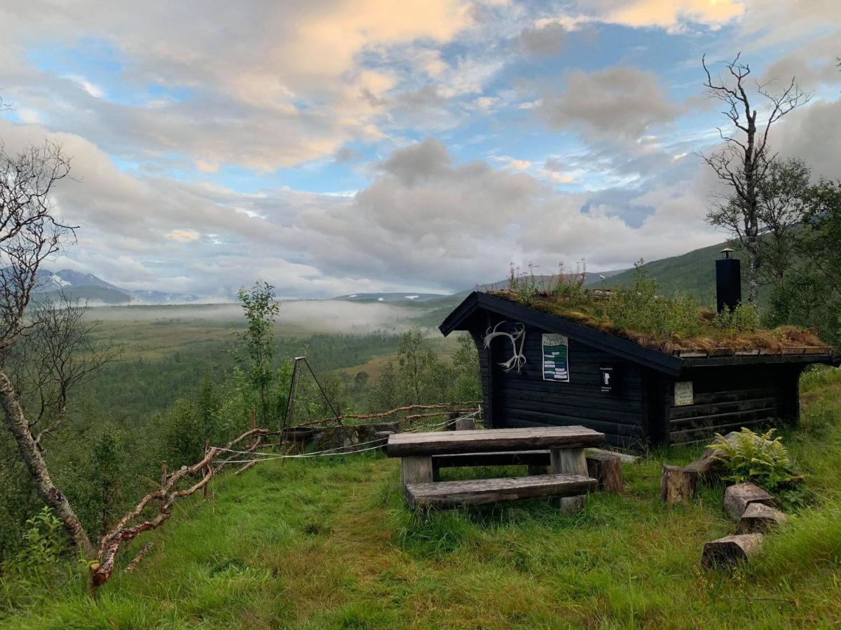 100 Years Old Norwegian Log House In Tromso Villa Buitenkant foto