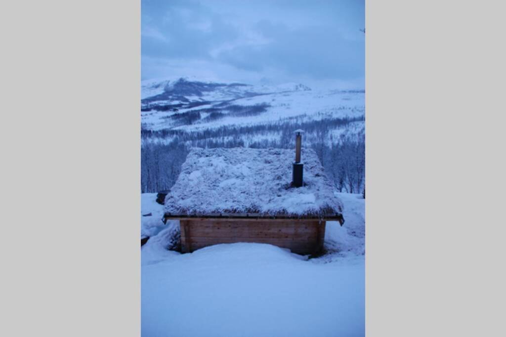 100 Years Old Norwegian Log House In Tromso Villa Buitenkant foto