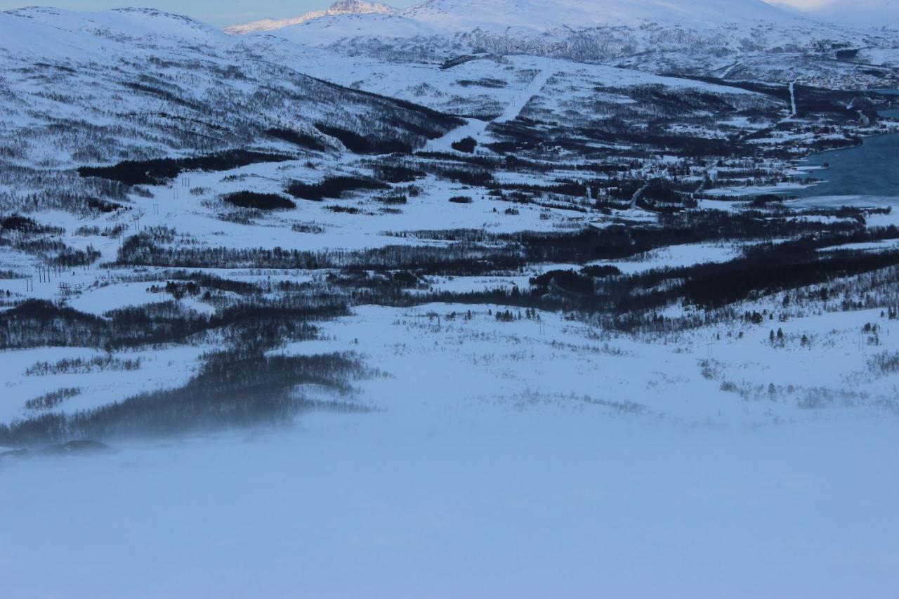100 Years Old Norwegian Log House In Tromso Villa Buitenkant foto