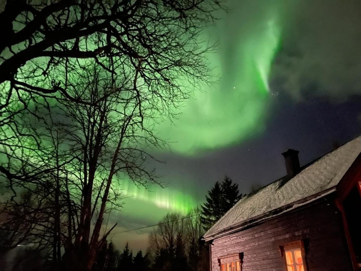 100 Years Old Norwegian Log House In Tromso Villa Buitenkant foto