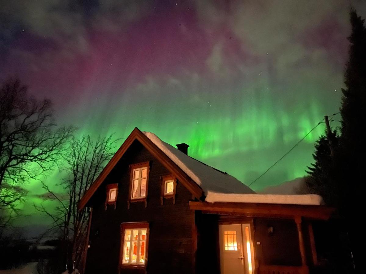100 Years Old Norwegian Log House In Tromso Villa Buitenkant foto