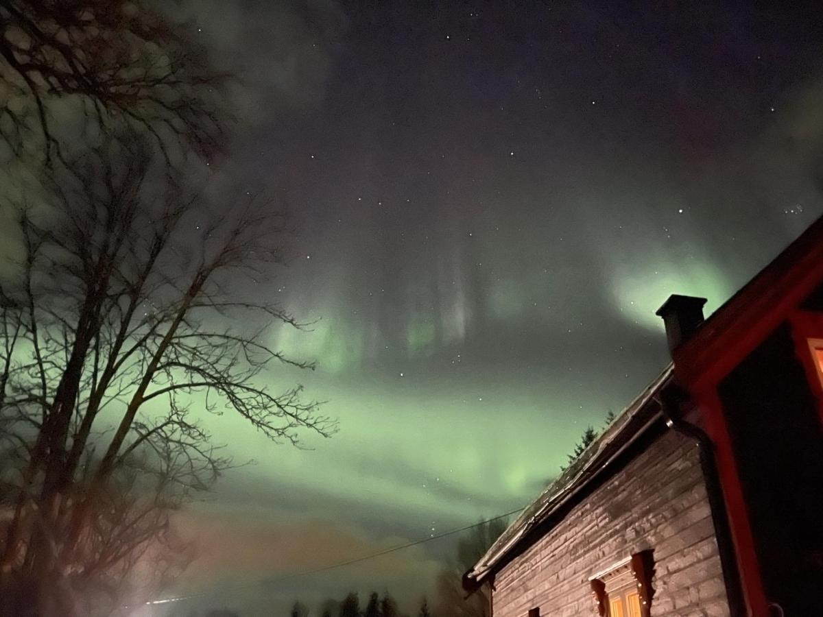 100 Years Old Norwegian Log House In Tromso Villa Buitenkant foto